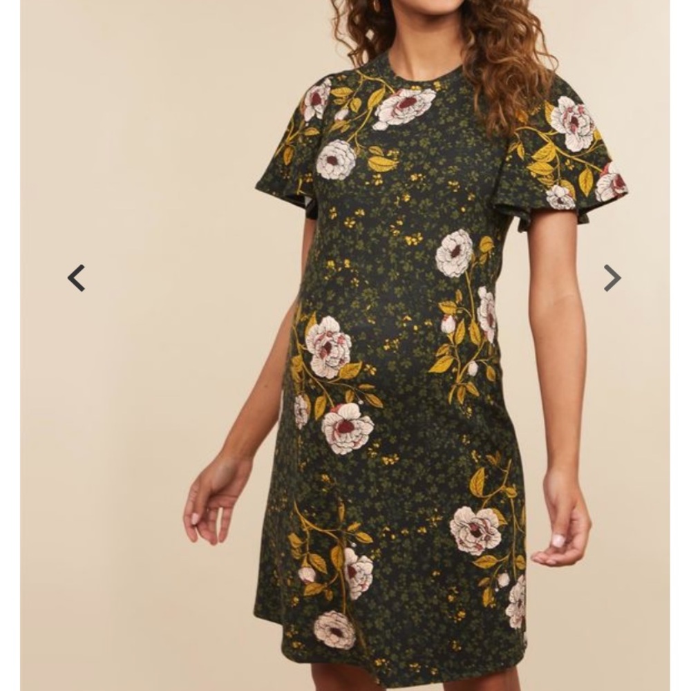 Motherhood Maternity dress